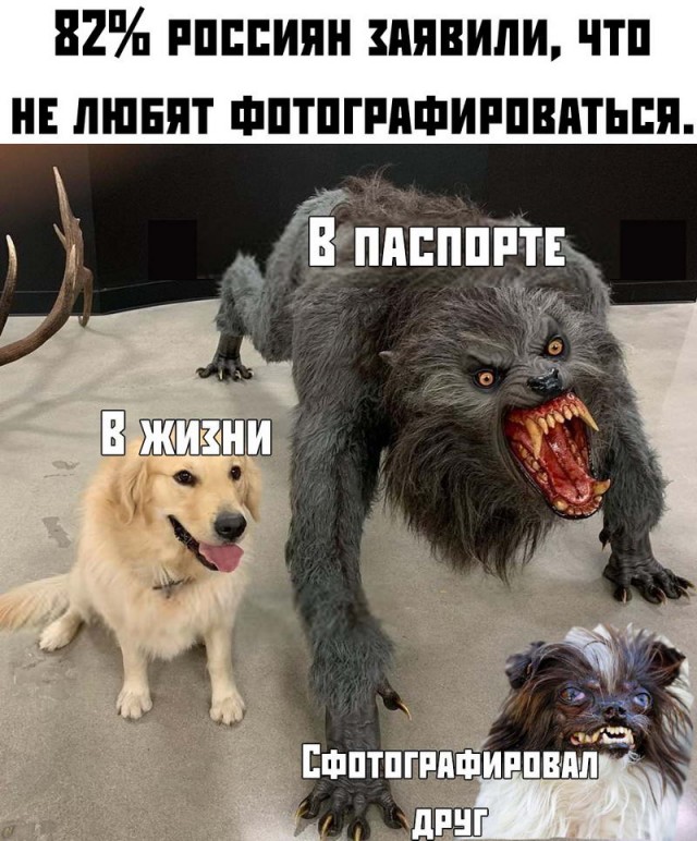 Как соблазнить девушку покачивая перьями на шляпах или рак мозгом заболееет