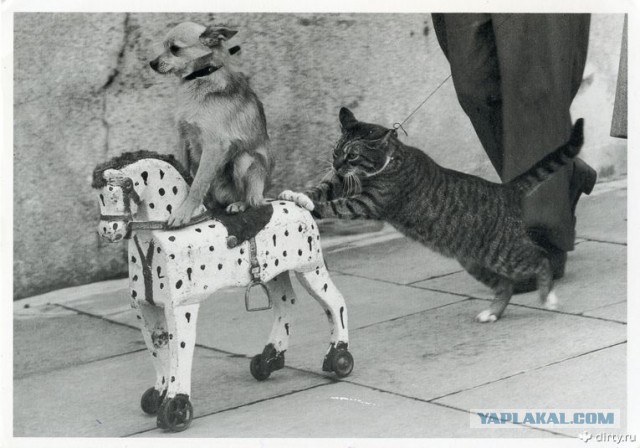 Опубликованы технические характеристики и живые фото Lada Vesta с вариатором