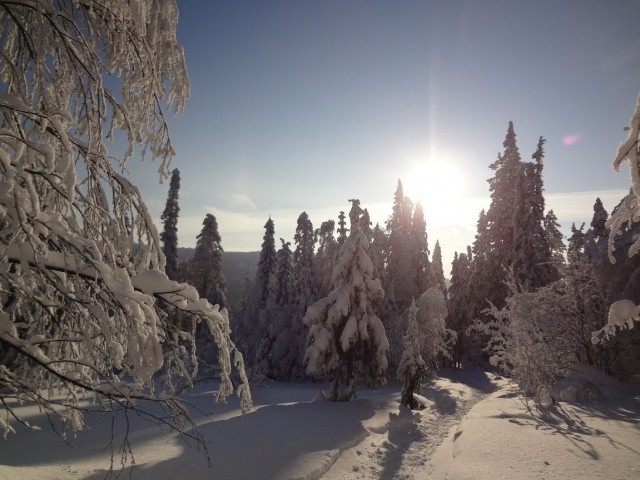 Немного зимних фото