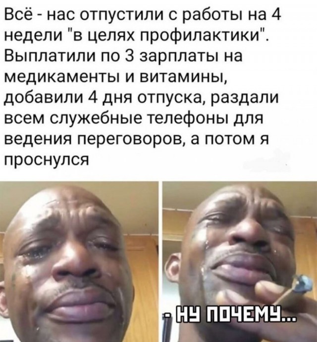 Наслаждайтесь картинками, друзья