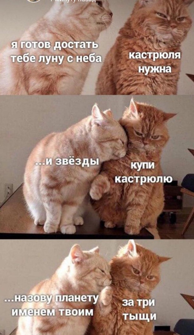 Картинки разнообразные. На злобу дня и на доброту (18.06)