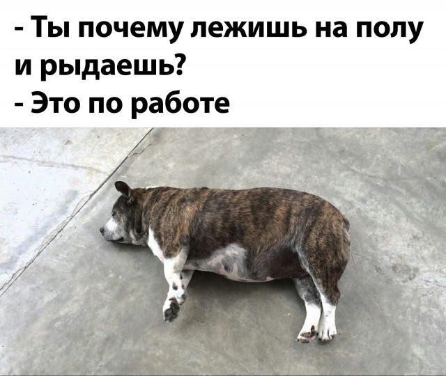 Не очень адекватный юмор