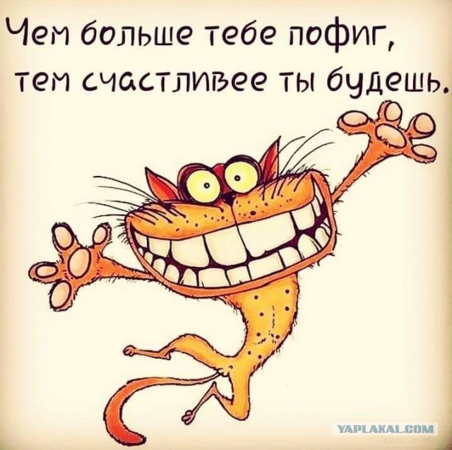 Просто картинки!