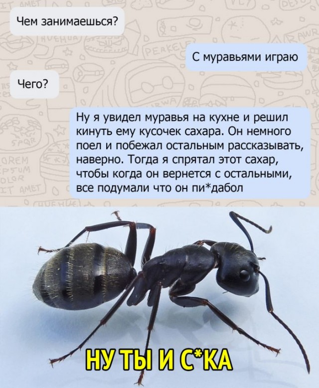 Немного картинок для настроения 22.08.20