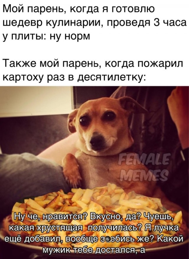 Картинки с надписями фразы и анекдоты
