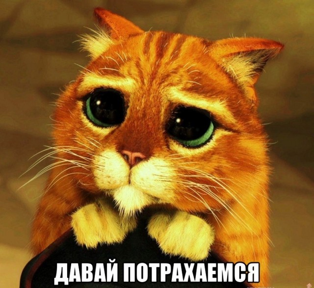 Боянистые картинки 22.12.20