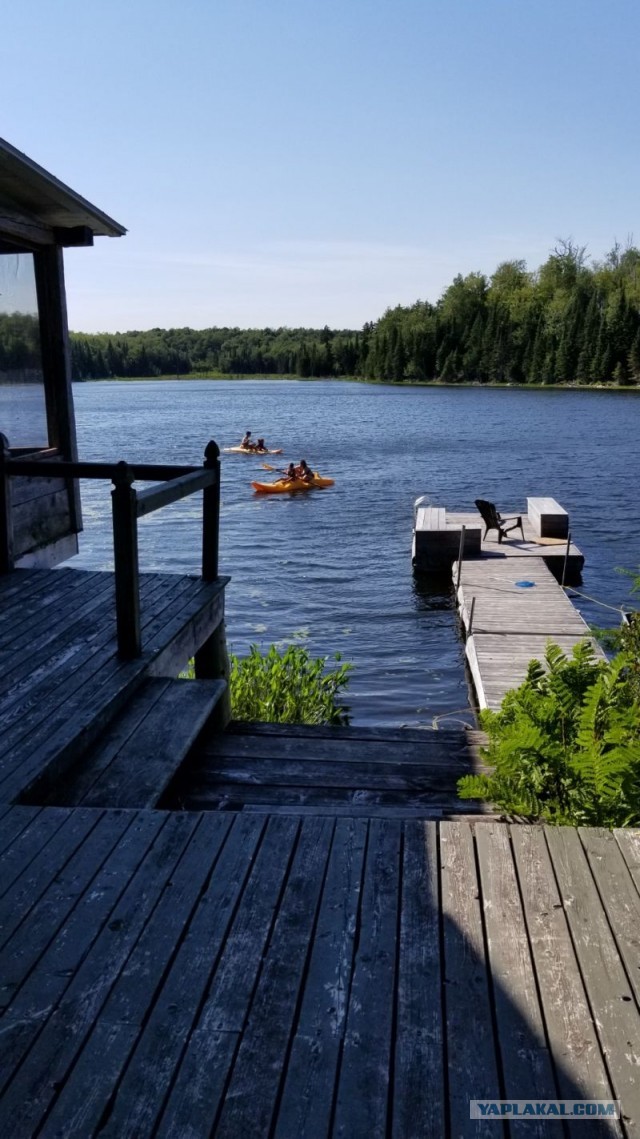 Арктический голец полу-горячего копчения.