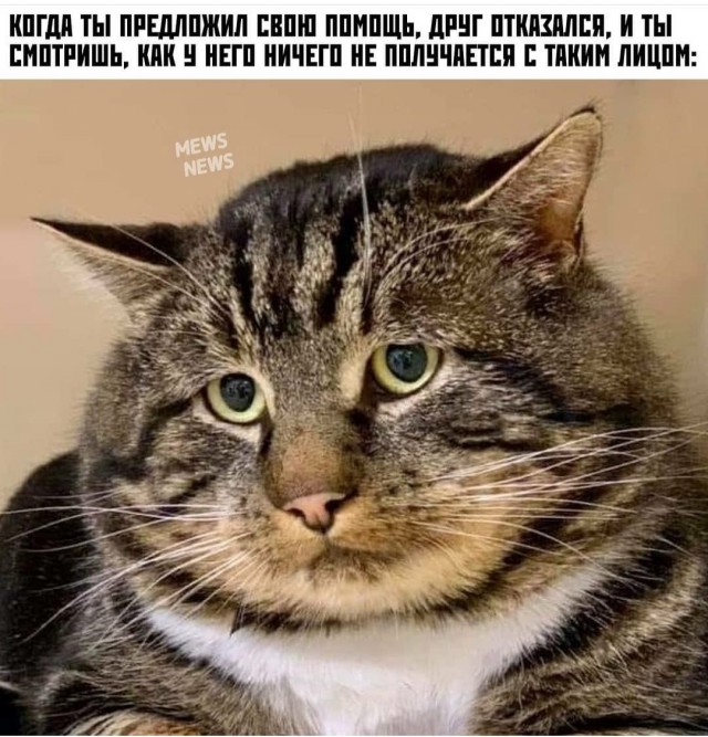 Перлы 08.02.2021