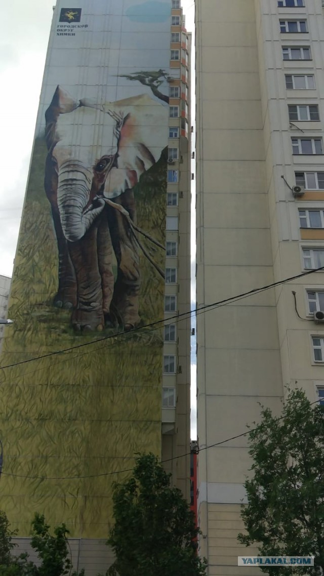 Граффити на жилых домах