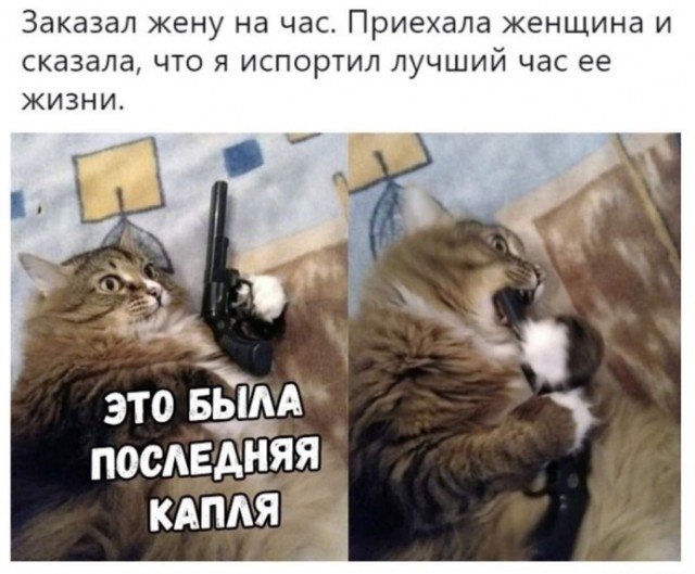 Картинки с надписями и всякие жизненные фразы 5.06.21