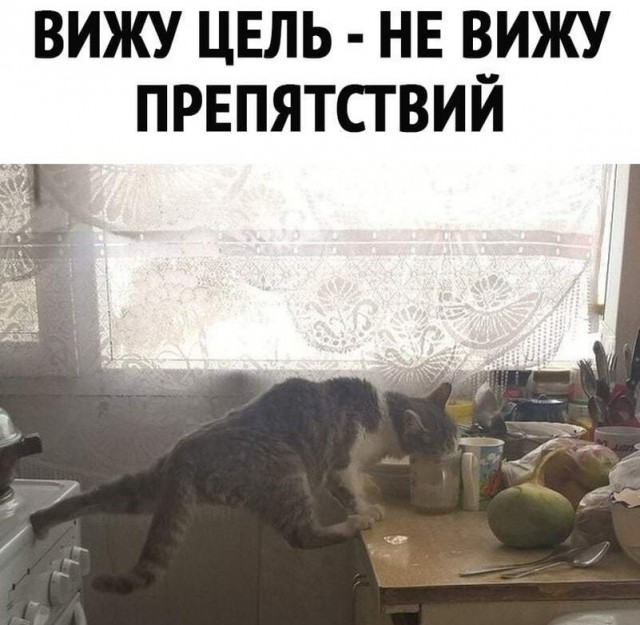 Так себе картинки 16.12.2021