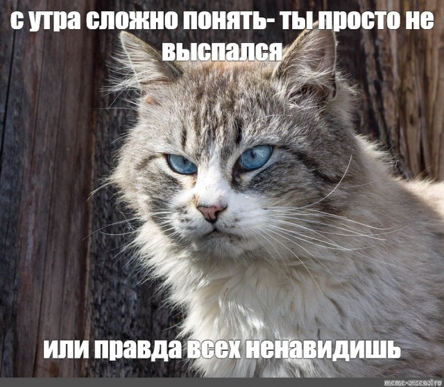 Про ненависть