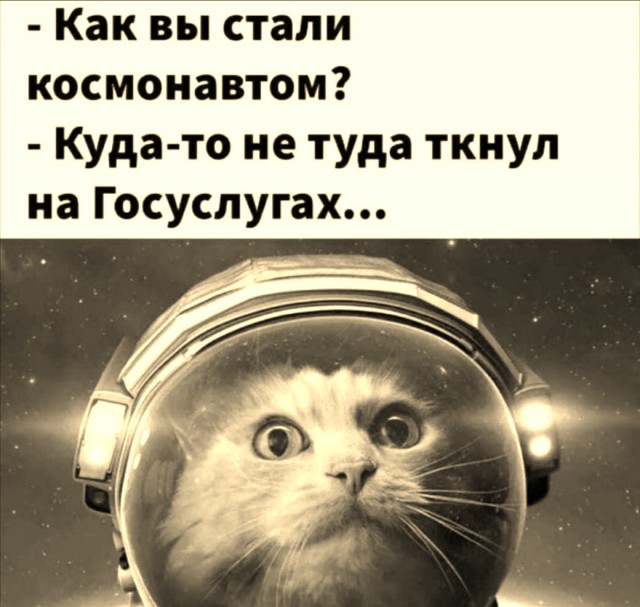 Так себе картинки 14.04.22