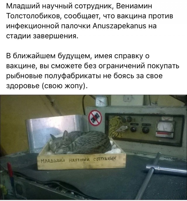 Немного пятничных и где то смешных картинок