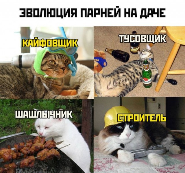 Картинки и мемы для настроения - 19