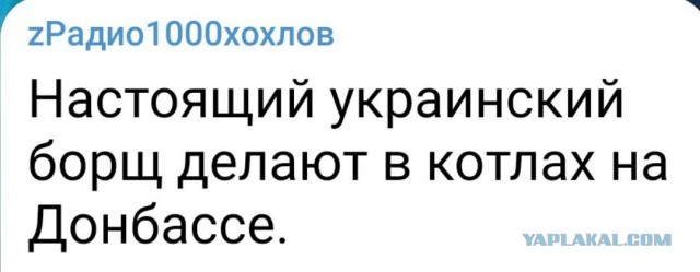 ВС России взяли Лисичанск под контроль