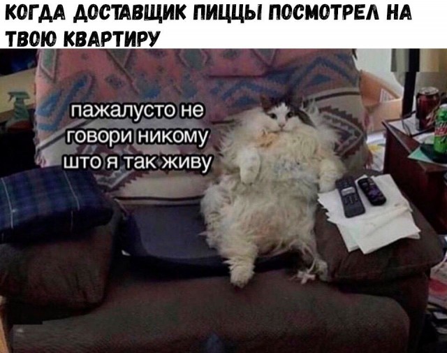 Вы сами видите, с кем я живу