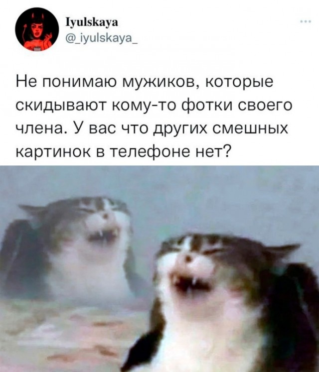 Весёлый полтишок 20.10.22