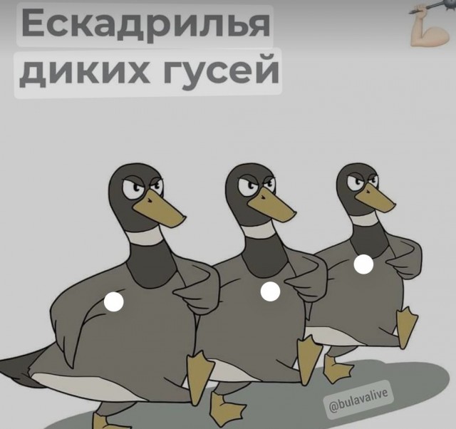 Су-34 упал на дом из-за чаек
