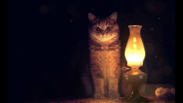 Чужие деньги