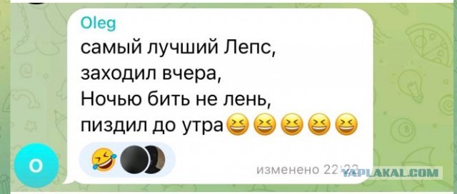 Долгий вечер Григория Лепса в Петербурге закончился побоищем с его участием