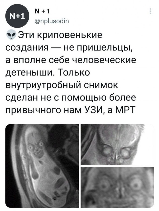 Дичь