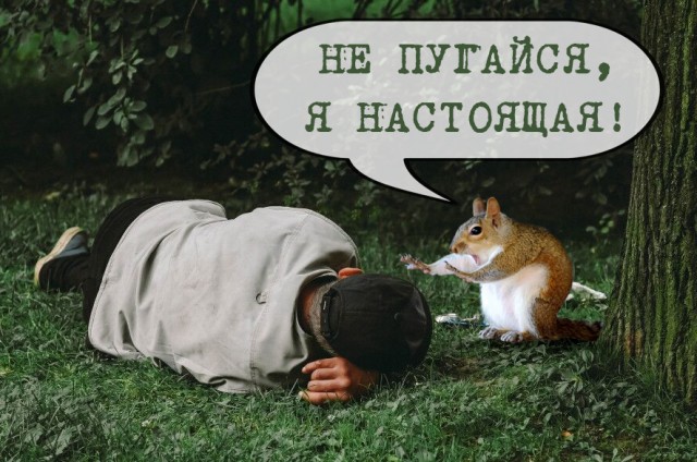 Фотожаба "Белка экстрасен"