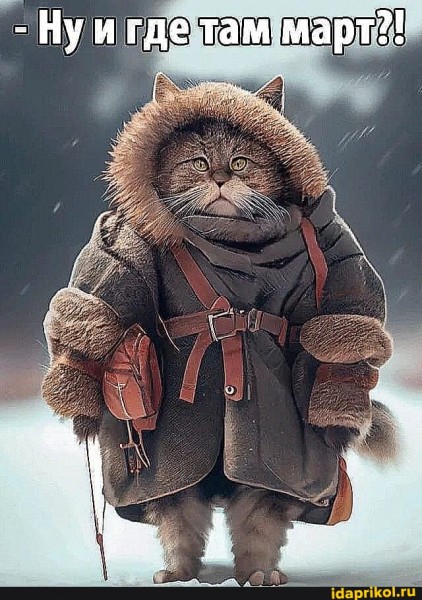 Это правда?!