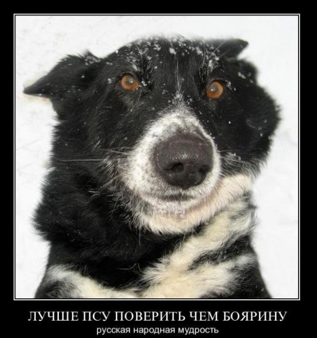 Весёлый полтишок 30.03.23