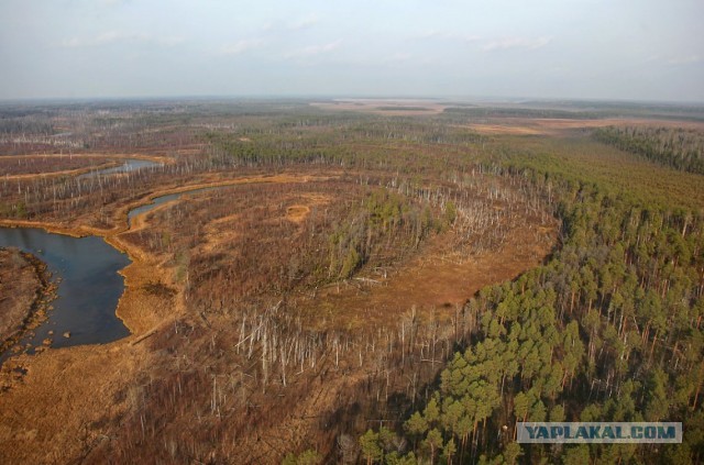 Сибирские перекрёстки
