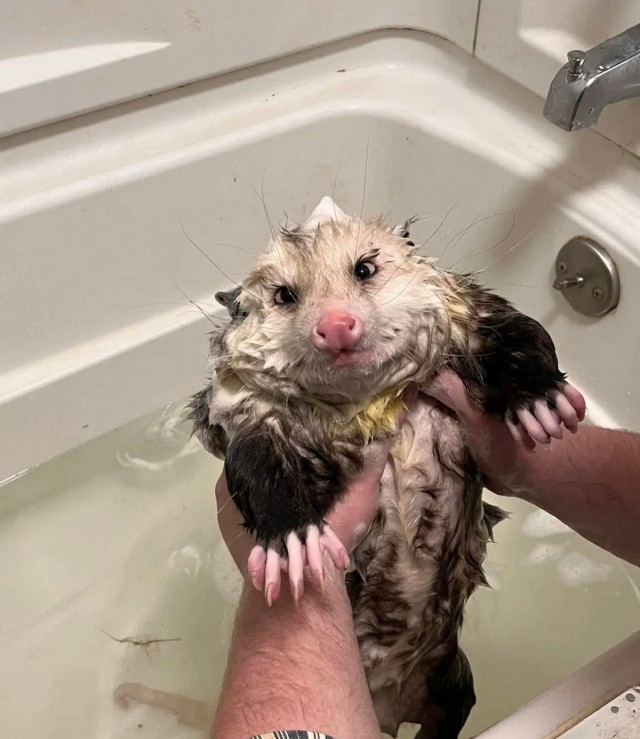 Подборка интересных и веселых картинок