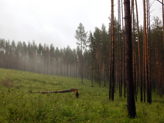 Уральское лето моими глазами
