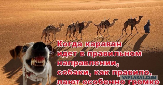 Лукашенко пообедал в поле с комбайнёрами и обсудил с ними новую технику