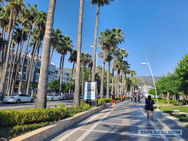 Часть 2. На своих 4-х к османам и обратно