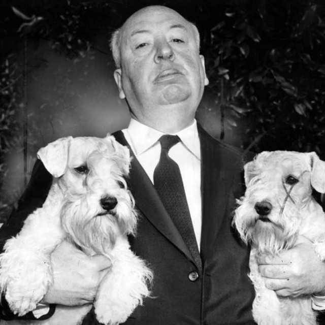 16 архивных фотографий из прошлого, показывающих исторические моменты с неожиданной стороны