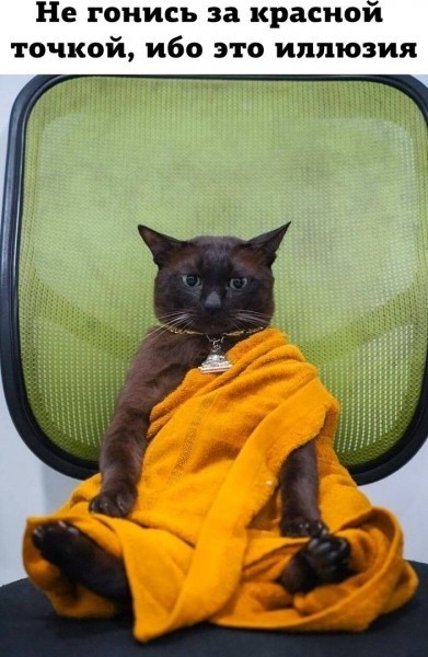 Так себе картинки 17.08.23