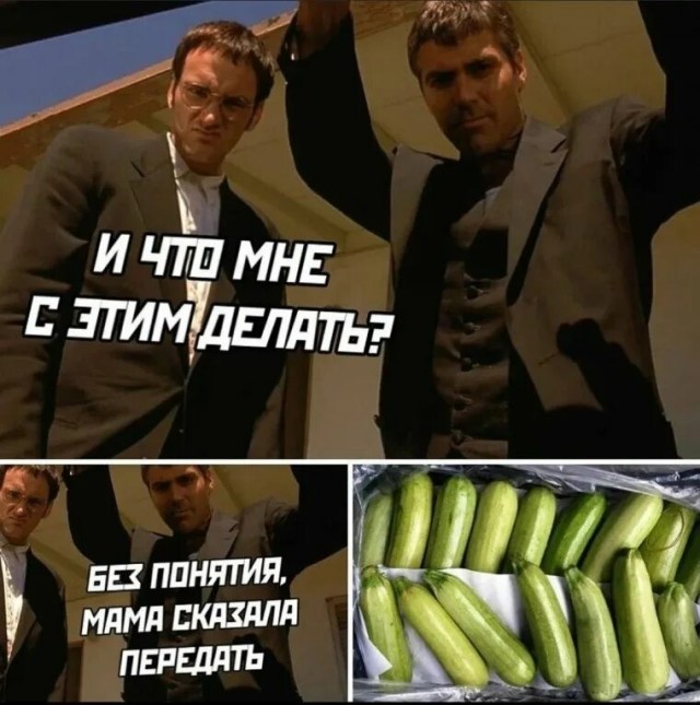 Мне сегодня предложили кабачок