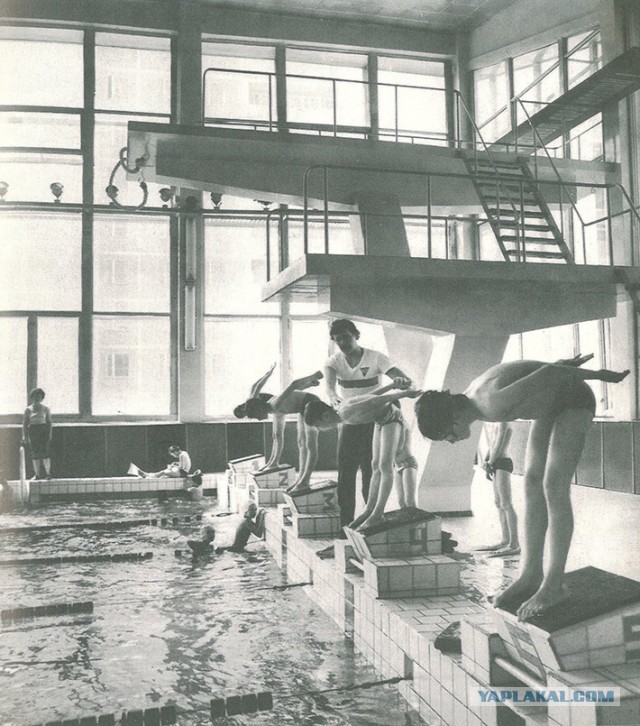 Репортаж из зоны отчуждения: