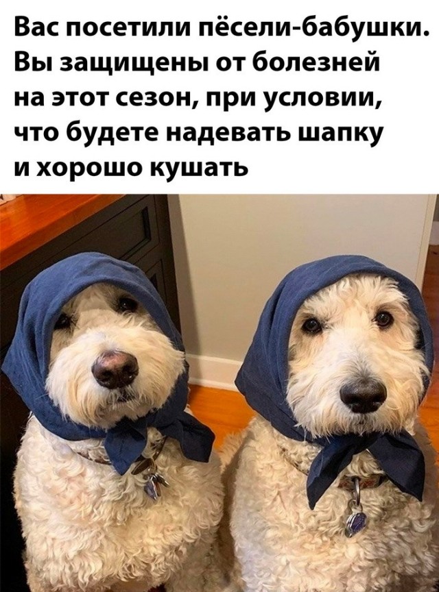 Весёлый полтишок 24.12.23