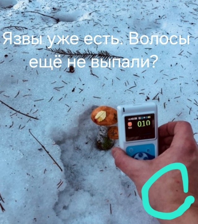 Можно ли собирать грибы возле атомной станции?