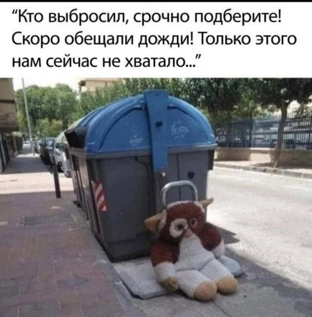19087453.jpg