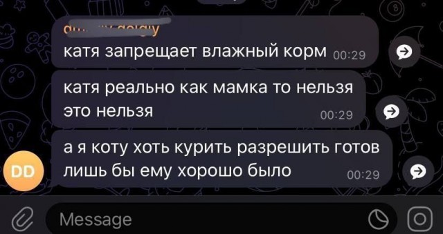 Весёлый полтишок 20.05.24