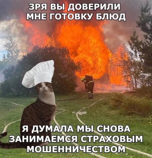 Никакие картинки