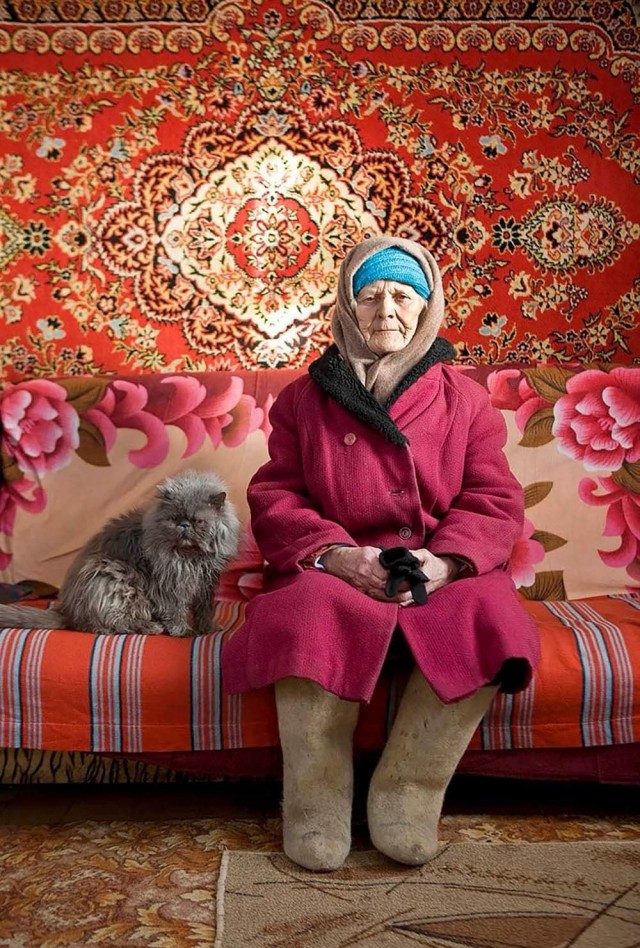 Котовторник в картинках