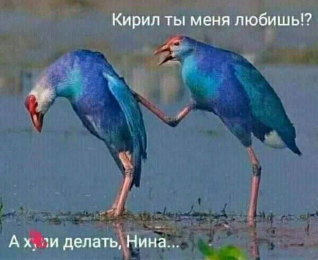 Так себе картинки 15.07.24