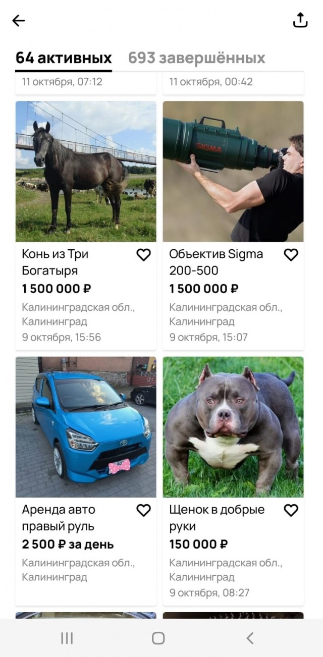 Никому не нужен орган, крыса 28 кг или борщевик?