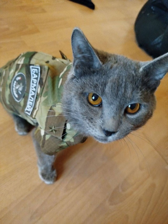 Wargaming 62