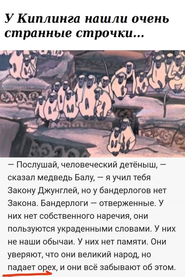 Весёлый полтишок 03.01.25