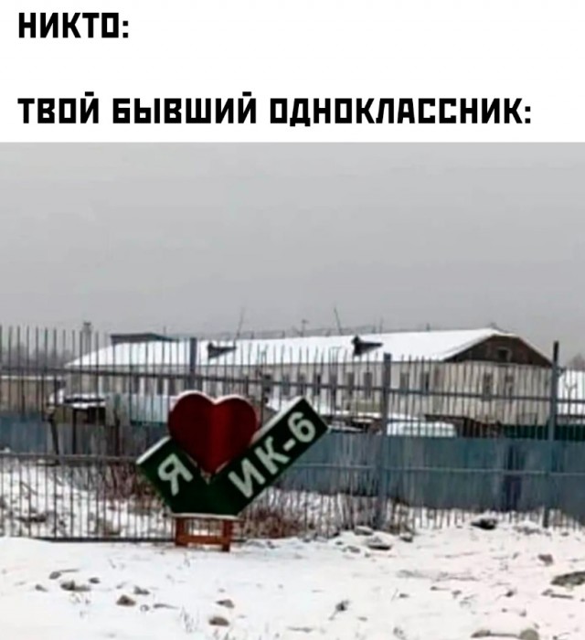 Весёлый полтишок 08.01.25