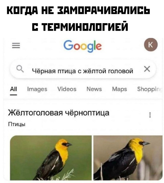 Весёлый полтишок 23.01.25